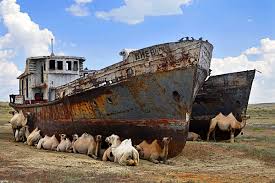 aralsea